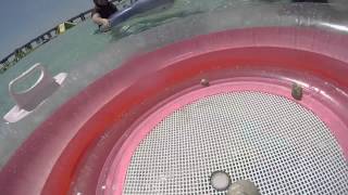 Crab Island, 5/31/2015