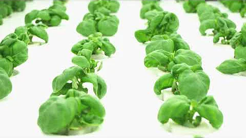 The future of vertical farming: AI-driven and self-contained mobile Hydroponics Lab by Rift Labs