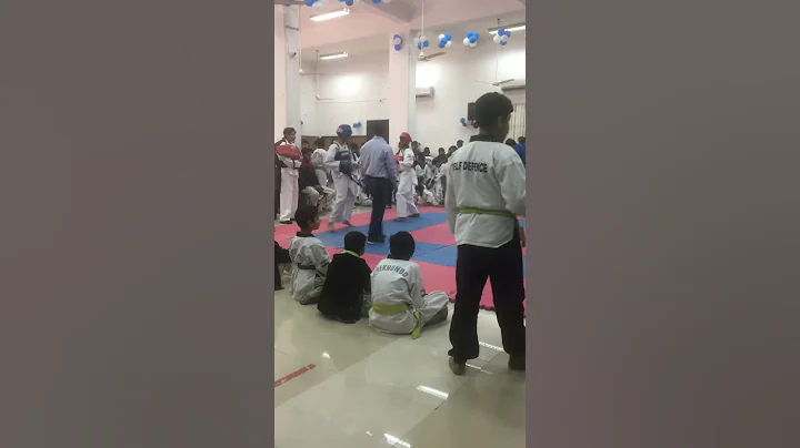 Taikaiwondo fight