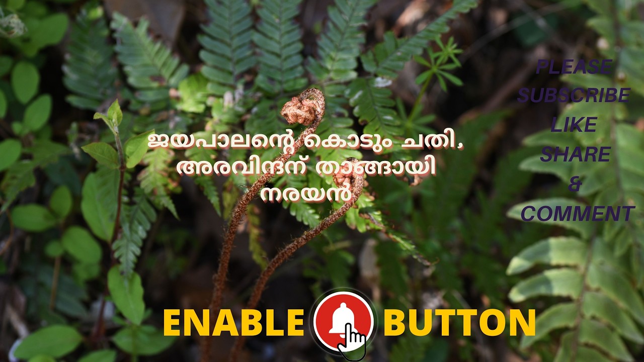 ജയപാലൻ്റെ കൊടും ചതി, അരവിന്ദന് താങ്ങായി നരയൻ