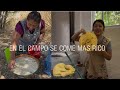 TEJATE Y TORTILLAS calientes le llevamos a los Trabajadores en el CAMPO | Guelaguetza con Citlali