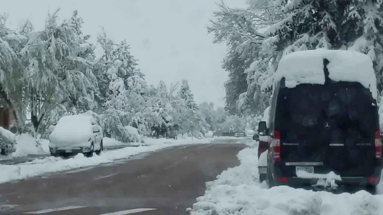 🔴 LIVE #IRL Northern Colorado Springs, CO Winter Storm Warning - Trevor Cokley - 5/21/2022