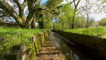 Insta360 EVO Video Test