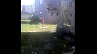 Open Door Challenge
