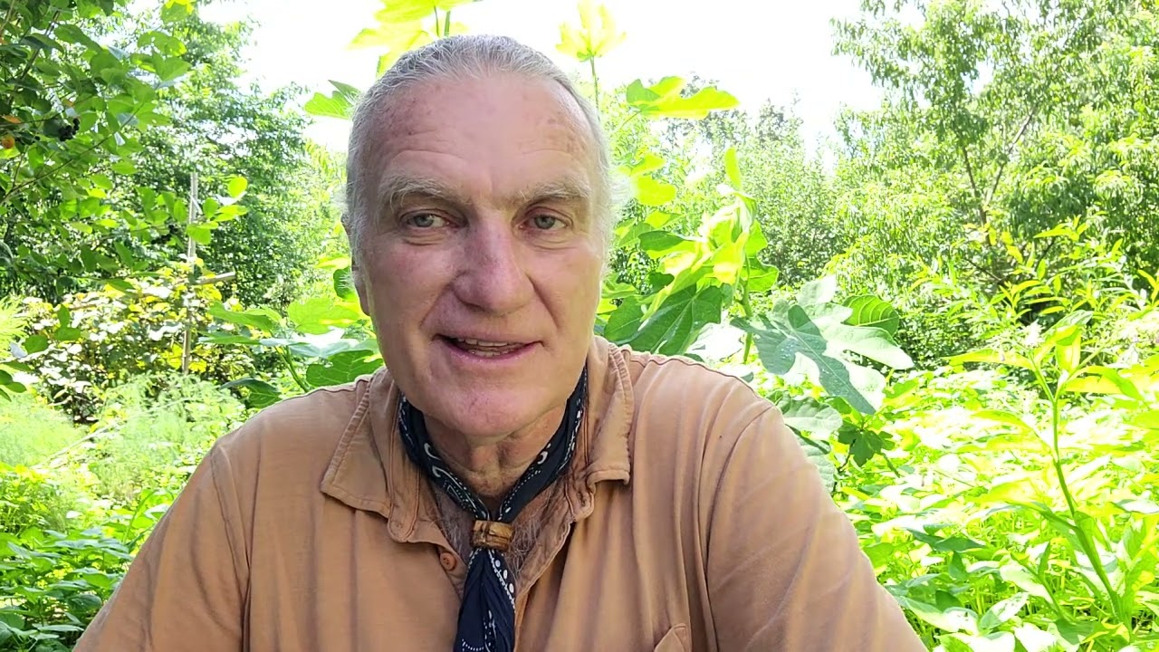 199/365 7-18-25 Thru A Course In Miracles w/ Will-E. T-21. IV. Warren Pear, Tinchlik