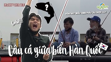 Câu cá giữa biển Hàn Quốc / Dangjin - Du lịch Hàn Quốc cùng A Síng 3 | What A Nice Trip