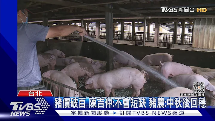 炒涨价? 畜产公司指「养胖」延后交货 猪农驳｜TVBS新闻@TVBSNEWS01 - 天天要闻