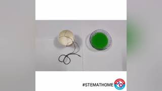 Pendulum Art_DIY #STEMATHOME Experiment