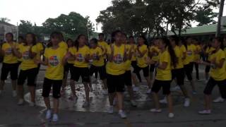 Cheer Dance 2014 (LSEI)