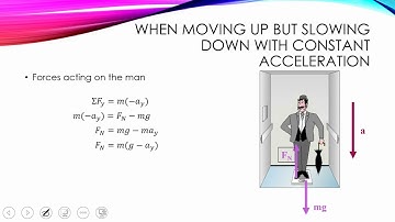 1D Forces:  Apparent Weight