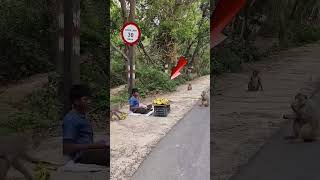 rils video siyar comment vayral tax #funny #comedy #rails