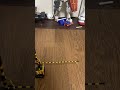 hoゲージ カピさん2両編成が通過します‼️ご注意下さい‼️