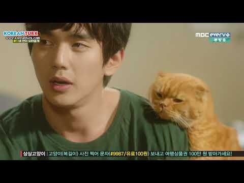 Kore dizileri Imaginary Cat   Türkçe altyazılı 1. Bölüm