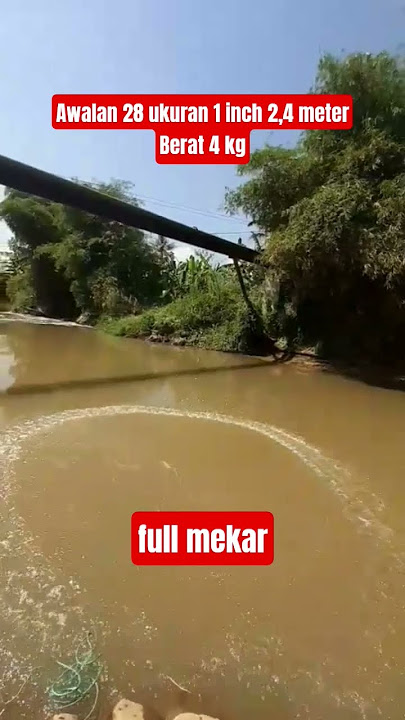 Initial fishing net 28 full bloom #jalaikan #castnetfishing #shortvideo