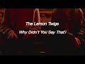 The Lemon Twigs - Why Didn&#39;t You Say That?- Lyrics - Subtitulos en Español