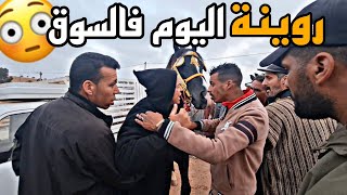 سوق سطات اليوم بو رزوق دخل جوج خيول ناضت عليهم مقاتلة غير ربي لي حفظ 🤯