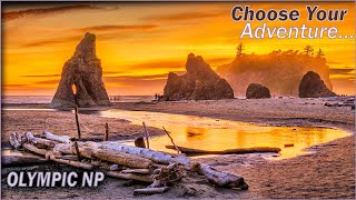 1, 2, or 3 Day Olympic National Park Itinerary Guide | Hoh Rainforest, Hurricane Ridge, ONP Beaches