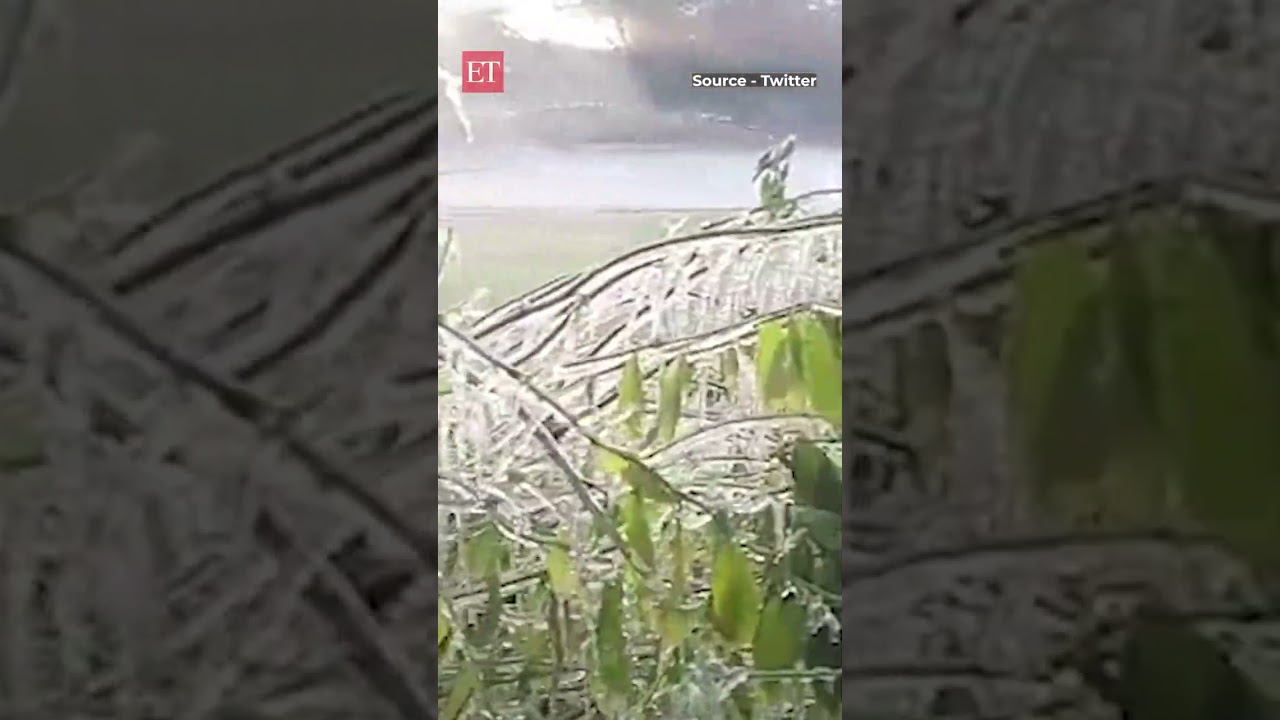 Cold wave shivers North India: Temperatures in Rajasthan go to a record low of less than 0° C