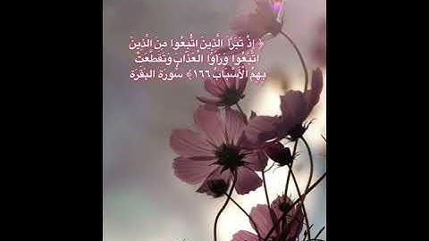 #خلفيات #دينية #سورة #البقرة #آية 166