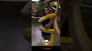 Power of Transformation | Snakes Version 💀
