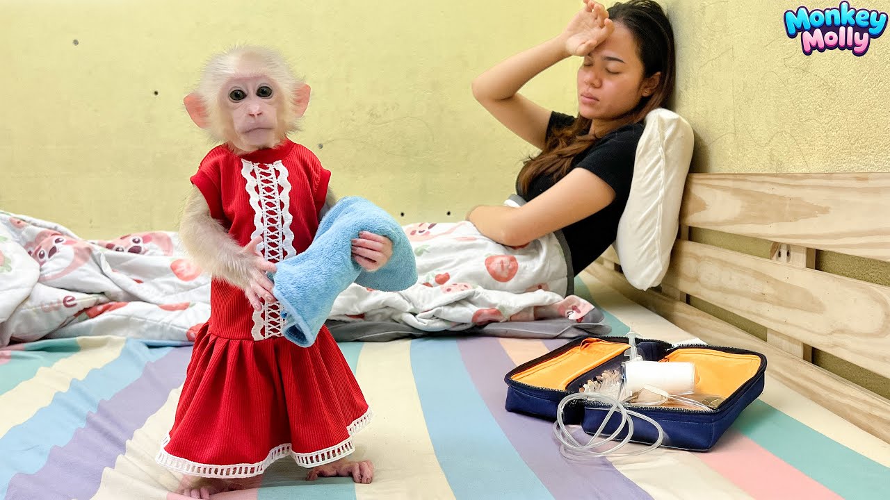 Monkey Molly takes good care of Mom when Mom's husband is away