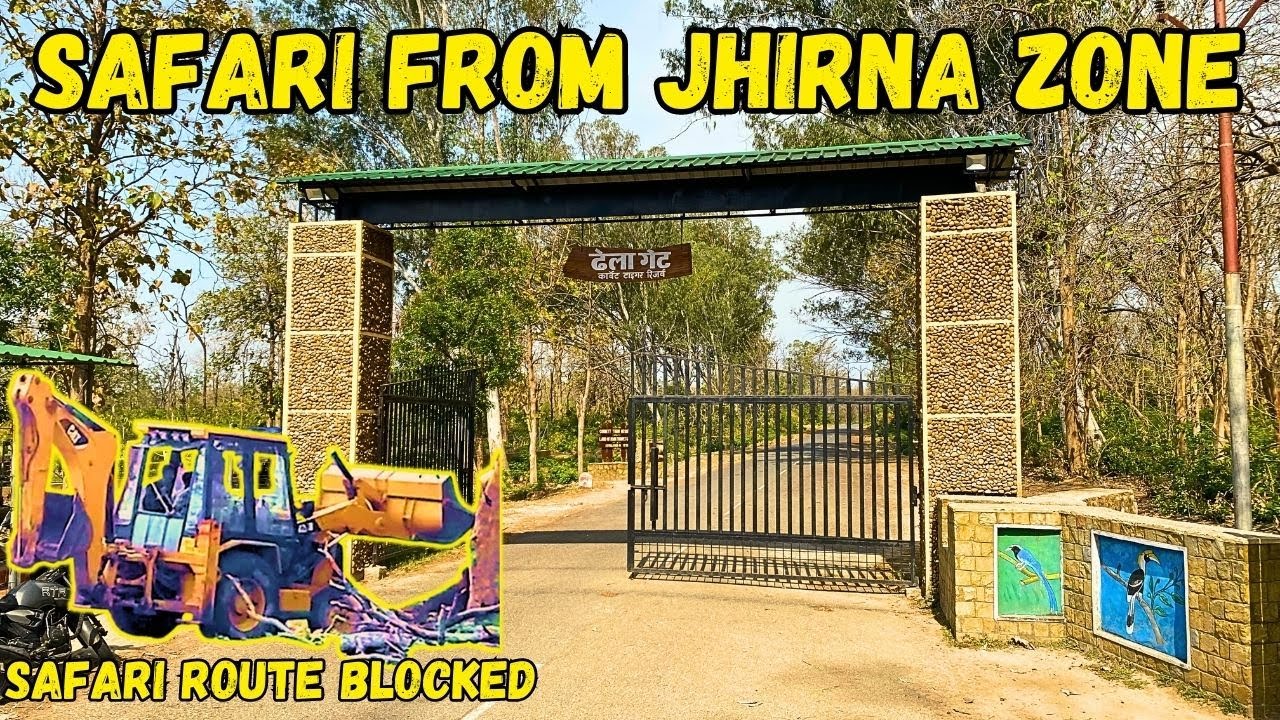 jhirna safari zone review