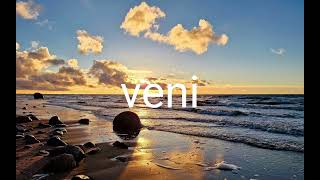 Melodic Type Beat - "Veni, Vidi, Vici" | Trap Beat 2025