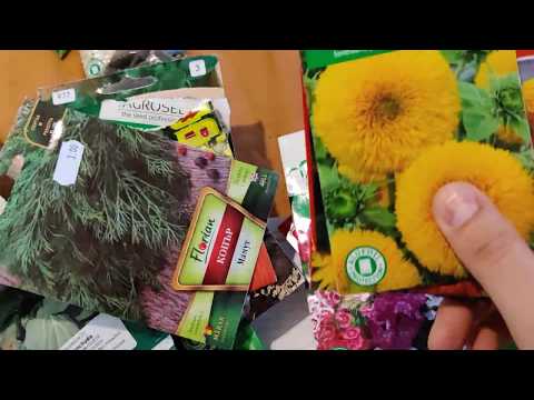 Video: Salate Exotice Cu Plante De Grădină și Plante Sălbatice - Sezonul „Gustos” - 3
