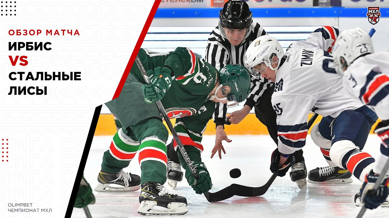 стальные лисы ирбис прогноз. медведь против лисы хоккей. ирбис стальные лисы 4 1. ирбис и лиса. ирбис стальные.