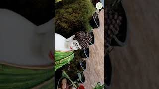 Awesome Garden Decoration Buddha Waterfall Fountain youtube_shorts