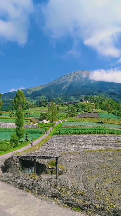 Yang suka flm ftv pasti tau lagu ini kan? #trending #shortsfeed #shorts