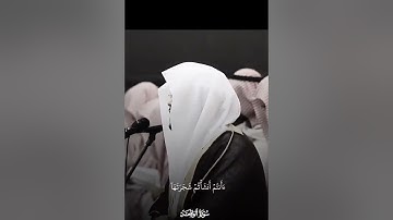 تلاوة خاشعة من سورة الواقعة ياسر الدوسري #اكسبلور
