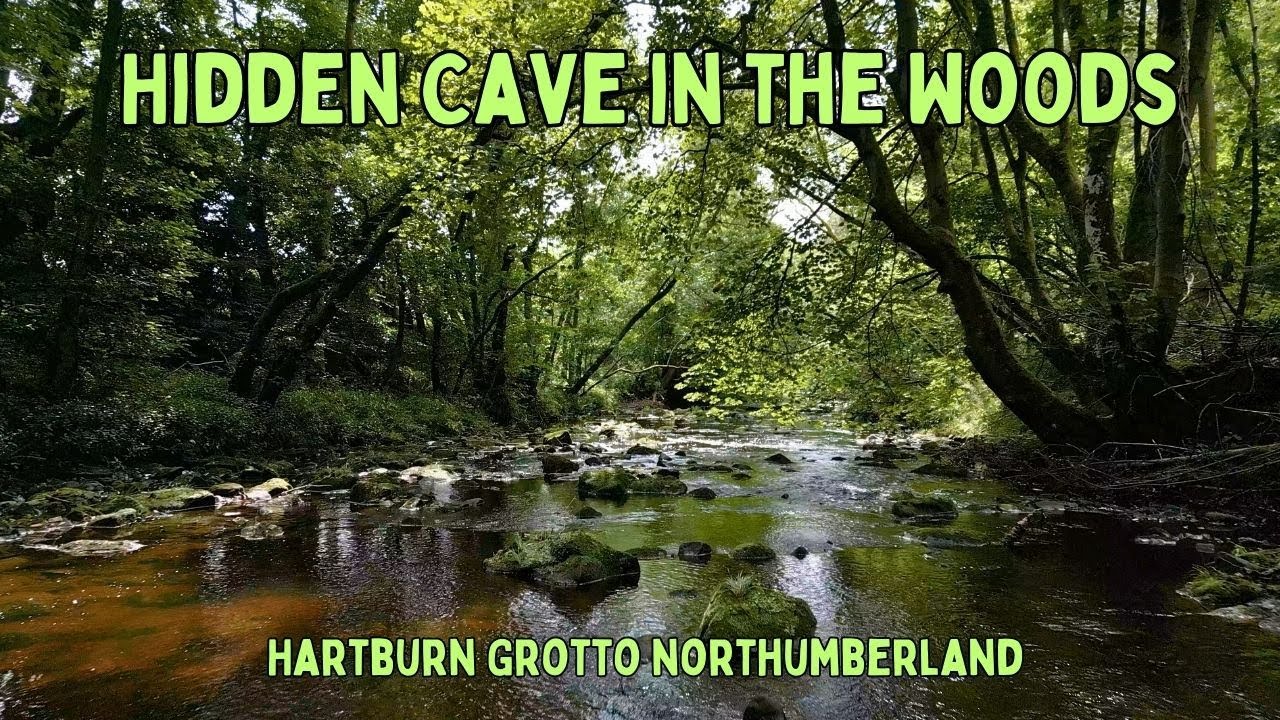 The Mysterious Hidden Cave: Secrets of Northumberland's Woods