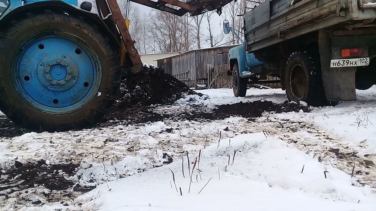 Погрузка перегноя. Погрузчик на заднюю навеску трактор Т-40.