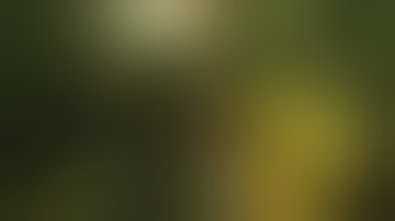 Bionic Commando Xbox 360 Gameplay - Pretty Water (HD)