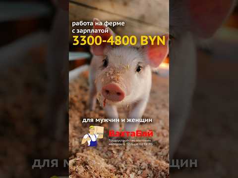 Работа в Польше