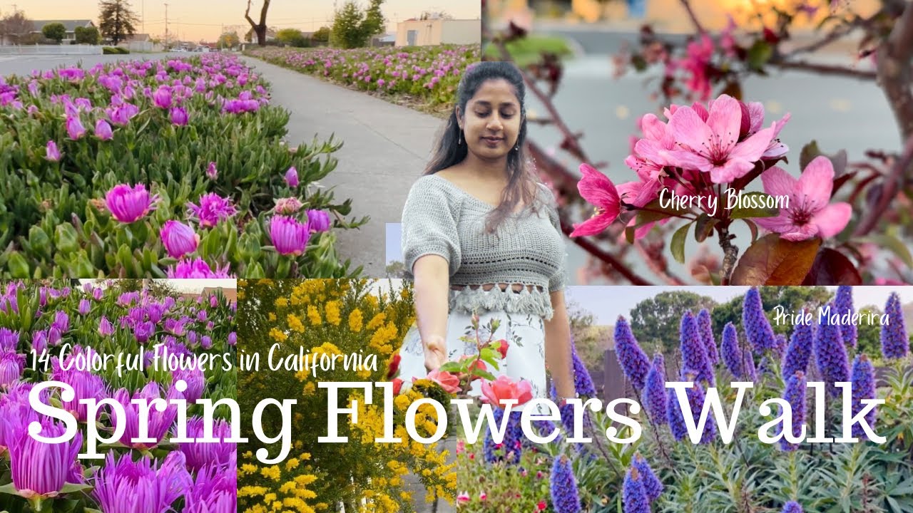 14 Beautiful SPRING FLOWERS 🇺🇸 🌸| A Walk with me to see Colorful ...
