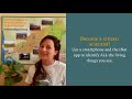 Native Versus Invasive Plants and Their Impact on Ecosystems