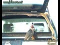 Duck Hawking with peregrine falcon - Caccia alle anatre col falco pellegrino