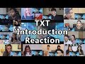 TXT (투모로우바이투게더) ‘Introduction Film - What do you do?’ - 연준 (YEONJUN) "Reaction Mashup"
