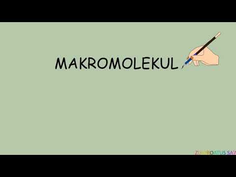 Video: Apakah makromolekul biologi?