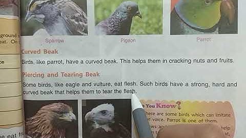 DAV Nahan Class-IV Science Revision L-5, Part-1