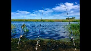 Ч.1 Сазан и крупный карась | Рыбалка с НОЧЁВКОЙ на реке Чулым