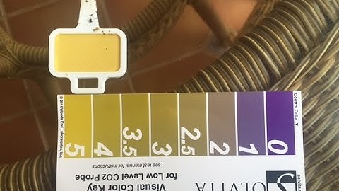 My soil microbial activity January 30, 2016. Confirmed by Solvita respiration test