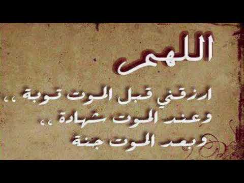 مدح طير الصحراء