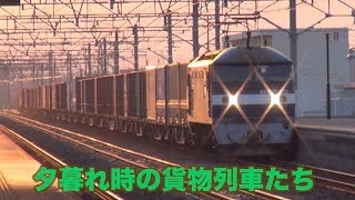 【貨物列車】夕方の浜松市内を走り抜ける大迫力の貨物列車二本立て　スピードもジョイント音も　夕方の貨物列車　全20本