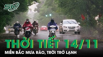 Dự Báo Thời Tiết 14/11: Miền Bắc Mưa Rào Và Dông, Trời Trở Lạnh Kéo Dài | SKĐS