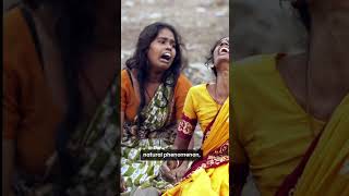 Celebrity The 2004 Indian Ocean Tsunami: The Deadliest Natural Disaster Of The 21st Century Profile