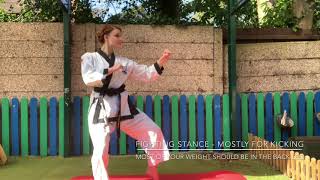 Basic stances for Tiny Tigers