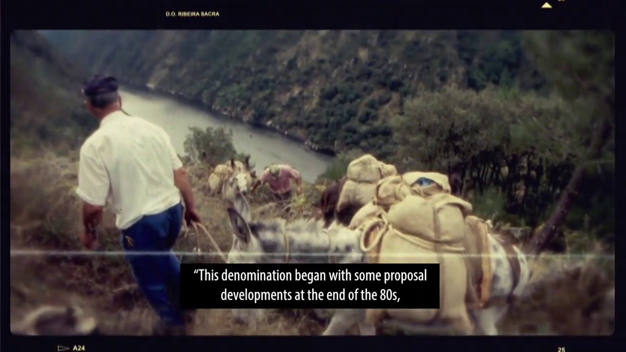 Vídeo documental de la D.O. Ribeira Sacra (versión Inglés)